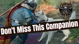 How to find Scratch the Dog Companion in Baldur's Gate 3