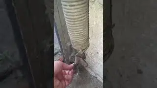 Garagentor Federhalterung unten verbogen verrostet Reparaturvideo volgt Schlosserei Oldorf . #shorts