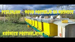 Pčelinjak - Novo postolje za košnice - Košnice postavljene