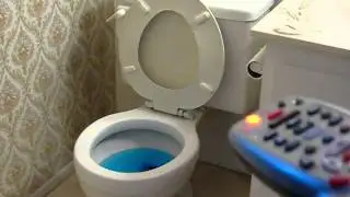 Remote Controlled Toilet Flushing System