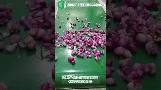 Onion peeler machine | onion garlic peeling machine | gajanand industries #onion
