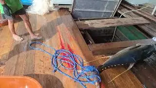Tuna preservation #buhaymangingisda #lifeatsea #fishing #buhaybarko #buhaymarino #kafreetime
