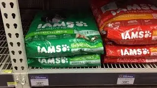 IAMS Proactive Health Adult Minichunks Review