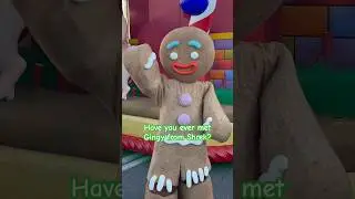 Have you ever met Gingy from Shrek? #shrek #dreamworks #universalstudios #shorts
