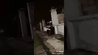 Nakak