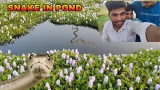 Snake in pond 🐍 | full masti vlog | 😂😂