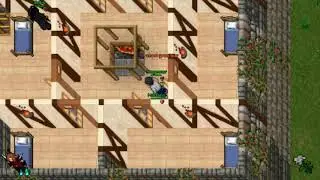 MAGEWAR | - CHILE - | TIBIA 8.6 | Best Moments #1
