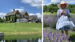 Canada Vlog: Perfect Lavender Farm in Ontario for a Day Trip