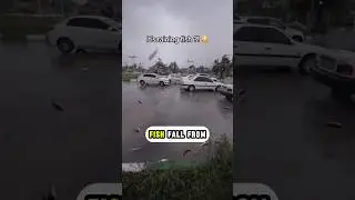 It Rains Fish Here?! Honduras' Weirdest Weather