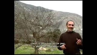 Son Bakış / The Last Sight