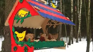 кормушки для птиц своими руками mysterious art DIY bird feeders बर्ड फीडर fuglebrett 鳥の送り装置