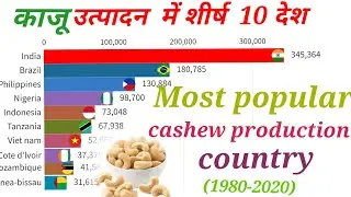 Top10 cashew producer country from(1980-2020)!!#data #cashew #top10 .