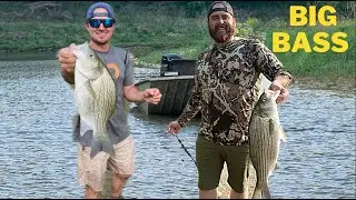 Catching Big Hybrids and White Bass in TX {Catch Clean Cook}