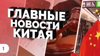 Panda News - тайфун Мангхут, первый онлайн суд и вендинг в Автобусах