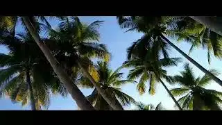 Wisata Poganda Beach