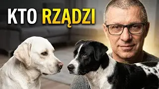 Dżeki vs Nuka - Kto NAPRAWDĘ rządzi w domu? SZOKUJĄCA hierarchia !