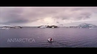 The Great Penguin Migration