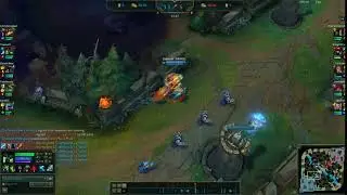 Predator Warwick