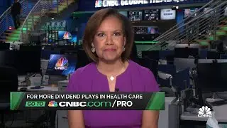 Drugmaker stocks lead sector with healthy dividends