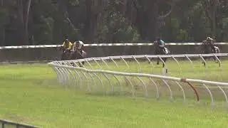 2025 12 31 Balnarring jumpout 08
