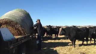 Using the Hay Spike on the Pickup