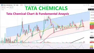 Tata Chemicals Chart & Fundamental Analysis - Stock Analysis Tricks, stock analysis tamil