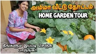 🌿அம்மா வீட்டு தோட்டம் tour tamil | My Mom home Garden tour tamil | Garden tour Update vlog in tamil 