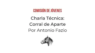 COMISIÓN DE JÓVENES: Charla Técnica 