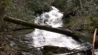 Alarka Falls, Nantahala National Forest, Bryson City, NC