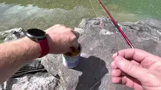 Snake River hiking fishing