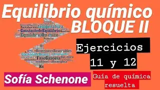 EJERCICIOS 11 Y 12 BLOQUE 2 | Cinética química y EQULIBRIO QUÍMICO |guía resuelta de química UBA XXI