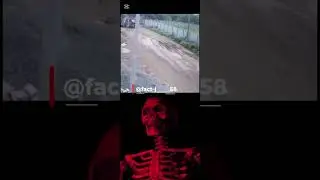 #accident#funny accident#🤣🤣#trending#truck video#