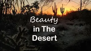 Usery Mountain Regional Park