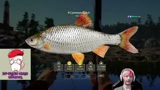 (EN) More float fun at Ladoga Lake! - RF4 - 8/17 Stream
