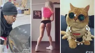 The Best TikTok Fail/Win Compilation of 2020 New