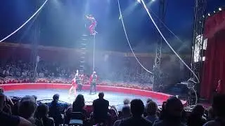 Circus Hollywood Florida State Fair  2022