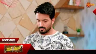 Anu Pallavi - Promo | 22 Jan 2026 | Kannada Serial | Udaya TV