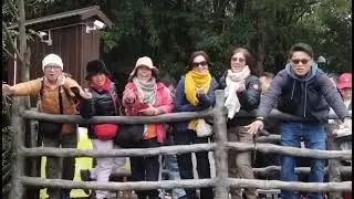 Zhangjiajie,Hunan Province 