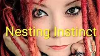 Nesting Instinct: Releasing My First Realborn, grieving, and Embracing New Beginnings