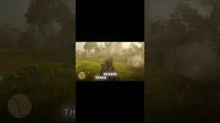 Red Dead Redemption 2 shorts 6