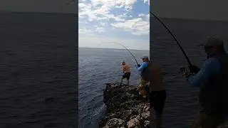 Amberjack from the Shore CROATIA #fishing #fish #croatia #hrvatska #jigging #shorejigging