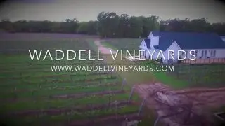 Waddell Vineyards | Ada, OK