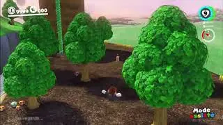 Database - Bois des Stakes