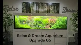 Relax & Dream Aquarium Upgrade 05