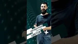 Необычные значения цветов | даННые #Shorts #даНЫе