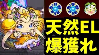 わくわくプリンセスに出会えるまで終われません【アプデまとめ】【モンスト】