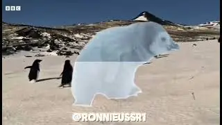 Penguin 🐧 edit 