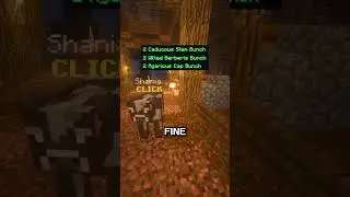 The Dreadfarm in a Nutshell.. #skyblock #alexjc #hypixelskyblock