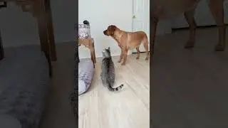 They are too smart!