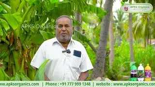 Our Online Banana Farmer Mr. Kailasam Shares His Amazing Results!